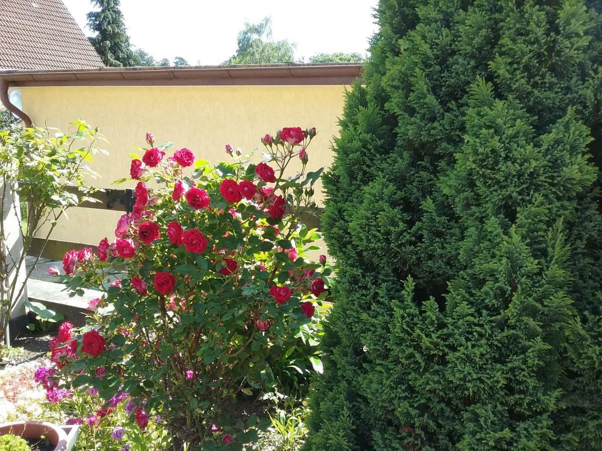 Appartamento Haus Granitz Sellin  Esterno foto